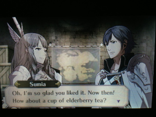Illustration for article titled This Is What Romance Looks Like In Fire Emblem: Awakening